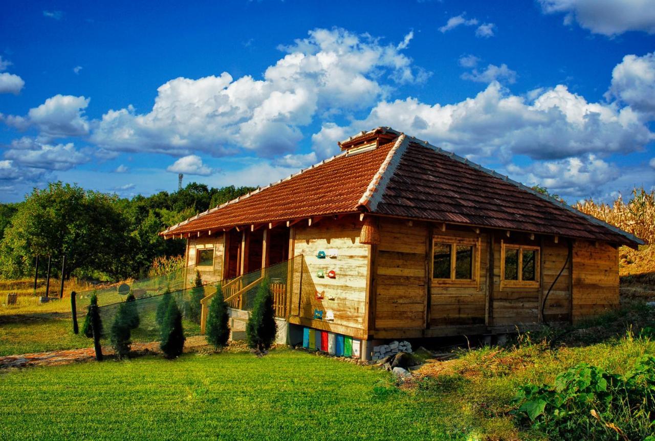 Api Centar Brdjani Villa Brgjani Bagian luar foto